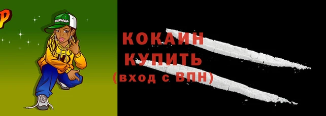 мяу мяу мука Арсеньев