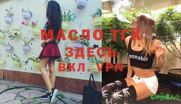 мяу мяу мука Арсеньев